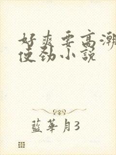 好爽要高潮了快使劲小说