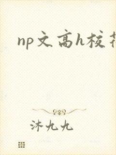 np文高h校花