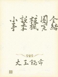 小说校园全能高手季枫完结版