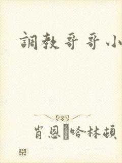 调教哥哥小说