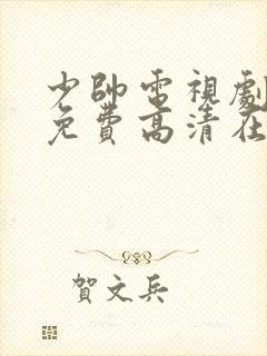 少帅电视剧全集免费高清在线观看封面