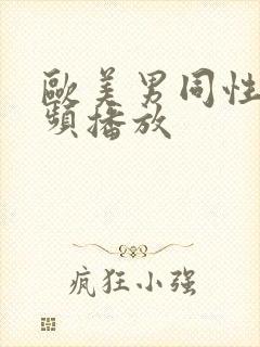 欧美男同性恋视频播放
