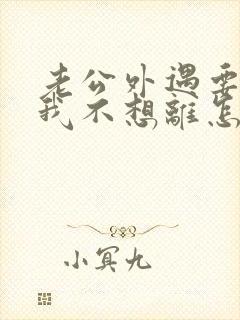 老公外遇要离婚我不想离怎么办封面
