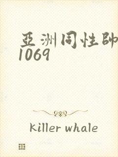 亚洲同性帅老头1069