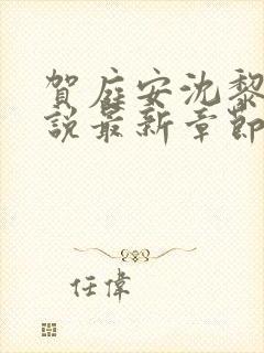 贺庭安沈黎初小说最新章节更新内容