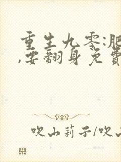 重生九零:肥妻,要翻身免费完整版