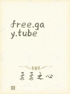 free.gay.tube