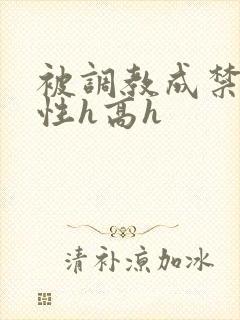 被调教成禁脔双性h高h