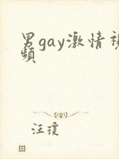 男gay激情视频