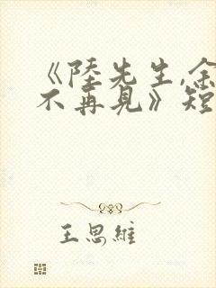 《陆先生,余生不再见》短剧