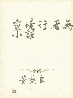灵境行者无错版小说