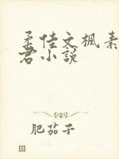 柔佳文枫素云雅君小说