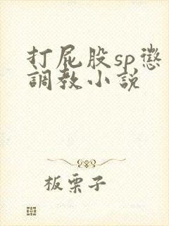 打屁股sp惩罚调教小说