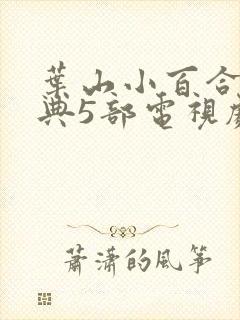 叶山小百合最经典5部电视剧