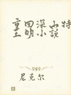 重回深山特种兵王明小说封面