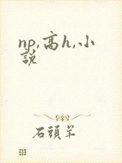 np,高h,小说