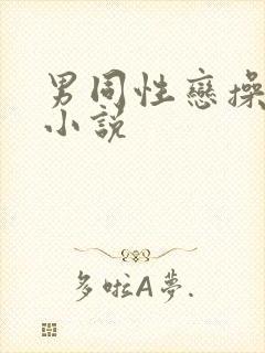 男同性恋操屁眼小说封面