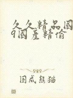 久久精品国产99国产精偷