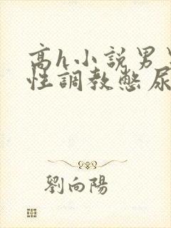 高h小说男男双性调教憋尿