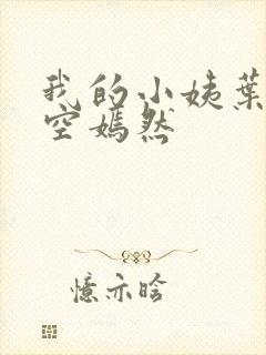 我的小姨叶凡司空嫣然封面