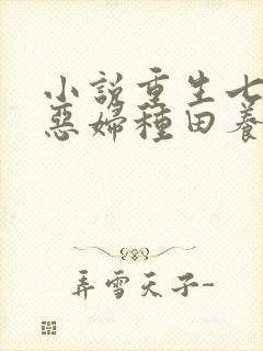 小说重生七零:恶妇种田养娃忙txt