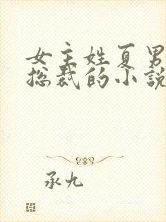 女主姓夏男主是总裁的小说