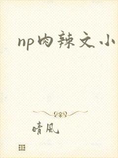 np肉辣文小说