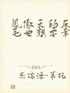 凤傲天的反派黄毛也想要幸福小说