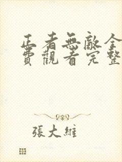 正者无敌全集免费观看完整版