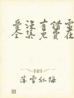 爱没有错电视剧全集免费在线观看