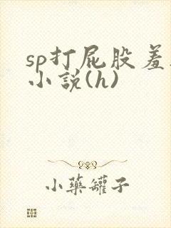 sp打屁股羞耻小说(h)