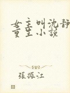 女主叫沈静姝的重生小说封面