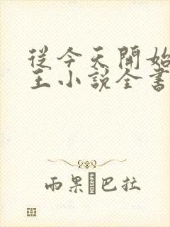 从今天开始做藩王小说全书