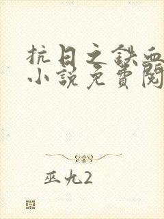 抗日之铁血连长小说免费阅读