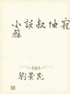 小说叔他宠妻上瘾封面