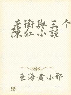 老卫与三个媳妇陈红小说封面
