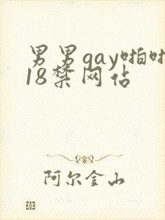 男男gay啪啪18禁网站