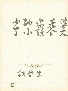 少帅你老婆又跑了小说全文免费阅读