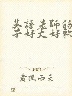 英语老师的小兔子好大好软水封面