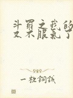 斗罗之我的系统又不服气了txt下载全本