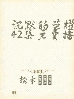 沉默的荣耀1—42集免费播放