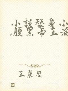 小说替身小女官,腹黑帝王沦陷了江清慈祁