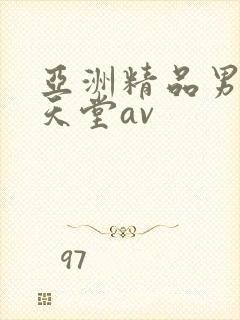 亚洲精品男人的天堂av