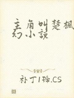 主角叫楚枫的玄幻小说