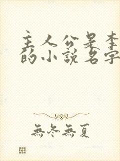 主人公是李初年的小说名字封面