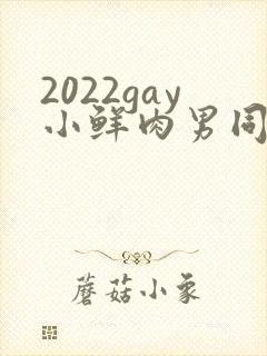 2022gay小鲜肉男同