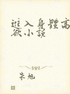 进入身体高潮情欲小说