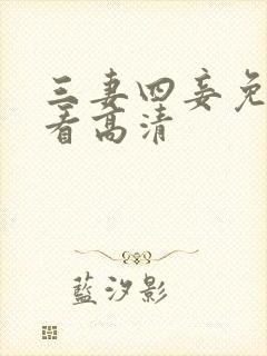 三妻四妾免费观看高清