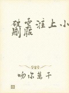 破云淮上小说未删版