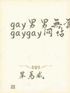 gay男男无套gaygay网站